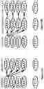 Fig. 26 - Compositions and methods for polynucleotide sequencing