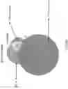 Fig. 113 - GENOMIC STABILITY PROFILING
