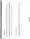 Fig. 30 - GENOMIC STABILITY PROFILING