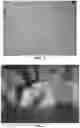 Fig. 03 - BIO-DEGRADABLE COMPOSITION AND/OR PROBIOTIC BIOCHEMICALS AND METHODS OF USE IN LEATHER TANNING PROCESSES