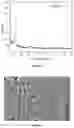 Fig. 04 - Combined Processing Method for Lithium Containing Solutions