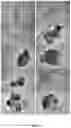 Fig. 08 - Combined Processing Method for Lithium Containing Solutions