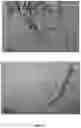Fig. 12 - Combined Processing Method for Lithium Containing Solutions