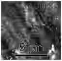 Fig. 01 - Aluminum based nanogalvanic compositions useful for generating hydrogen gas and low temperature processing thereof