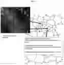 Fig. 04 - Aluminum based nanogalvanic compositions useful for generating hydrogen gas and low temperature processing thereof