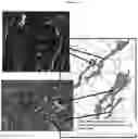 Fig. 06 - Aluminum based nanogalvanic compositions useful for generating hydrogen gas and low temperature processing thereof