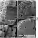 Fig. 02 - Method of creating porous structures by particle expansion