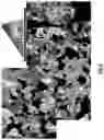 Fig. 04 - Method of creating porous structures by particle expansion