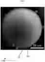 Fig. 03 - Aluminum with grain refiners, and methods for making and using the same