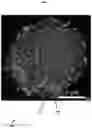 Fig. 04 - Aluminum with grain refiners, and methods for making and using the same