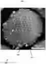Fig. 05 - Aluminum with grain refiners, and methods for making and using the same