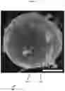 Fig. 06 - Aluminum with grain refiners, and methods for making and using the same