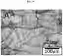 Fig. 09 - Aluminum with grain refiners, and methods for making and using the same