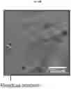 Fig. 12 - Aluminum with grain refiners, and methods for making and using the same