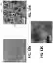 Fig. 22 - THERMOELECTRIC COMPOSITIONS  AND METHODS OF FABRICATING HIGH THERMOELECTRIC PERFORMANCE MgAgSb-BASED MATERIALS