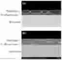 Fig. 01 - Surface treated steel sheet
