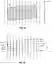 Fig. 05 - Substrate positioning apparatus and methods