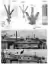 Fig. 07 - Alternating multi-source vapor transport deposition
