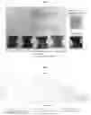 Fig. 08 - Alternating multi-source vapor transport deposition