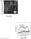 Fig. 04 - Synthesis of structured carbon material from organic materials