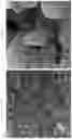 Fig. 07 - Efficient method for plasmon-aided solar water-splitting using (BiVO)—(TiO)ternary nanocomposites