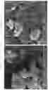 Fig. 08 - Efficient method for plasmon-aided solar water-splitting using (BiVO)—(TiO)ternary nanocomposites