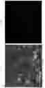 Fig. 09 - Efficient method for plasmon-aided solar water-splitting using (BiVO)—(TiO)ternary nanocomposites