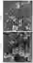 Fig. 20 - Efficient method for plasmon-aided solar water-splitting using (BiVO)—(TiO)ternary nanocomposites