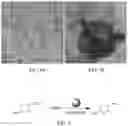 Fig. 04 - Systems and methods for producing metal clusters; functionalized surfaces; and droplets including solvated metal ions