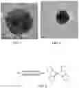 Fig. 06 - Systems and methods for producing metal clusters; functionalized surfaces; and droplets including solvated metal ions