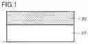 Fig. 02 - Laminate, its manufacturing method, and gate seal
