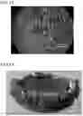 Fig. 07 - Method of manufacturing group III nitride semiconductor substrate, group III nitride semiconductor substrate, and bulk crystal