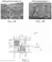Fig. 02 - FIBER-REINFORCED COMPOSITES, METHODS THEREFOR, AND ARTICLES COMPRISING THE SAME