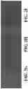 Fig. 06 - Nanowire structures and methods of manufacture thereof