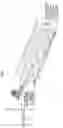 Fig. 02 - FISH LIFT AND DESCENT DEVICE FOR SAVE THE OBSTACLES IN THE RIVERS, GENERATING ELECTRICAL ENERGY