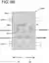 Fig. 16 - Work machine