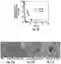 Fig. 05 - Microencapsulation of materials using cenospheres