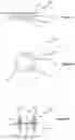 Fig. 08 - ADJUSTABLE PEDESTAL ASSEMBLY