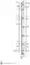Fig. 02 - Glass panel unit