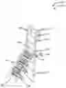 Fig. 01 - ADJUSTABLE LADDER AND STAIR SYSTEM