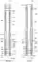 Fig. 20 - Valves for actuating downhole shock tools in connection with concentric drive systems