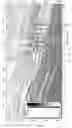 Fig. 05 - Method of refracturing in a horizontal well
