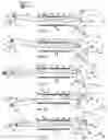 Fig. 02 - OPPOSED PISTON COMBUSTION ENGINE USING CRANK AND CAM