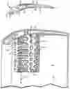 Fig. 01 - Airfoil cooling circuits