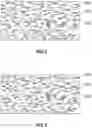 Fig. 04 - Environmental barrier multi-phase abradable coating