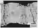 Fig. 01 - Microstructure geometry for thermal barrier coatings to mitigate CMAS attack