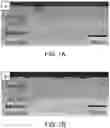 Fig. 02 - Microstructure geometry for thermal barrier coatings to mitigate CMAS attack