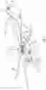 Fig. 02 - Vortex generators for turbine engine exhaust