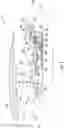 Fig. 02 - Seal assembly for counter rotating turbine assembly