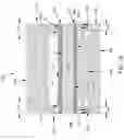 Fig. 37 - Turbine shroud having ceramic matrix composite seal segment